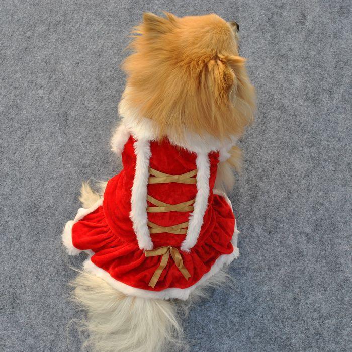 Classic Festive Red Velvet Skirt For Pet Fashionistas-2